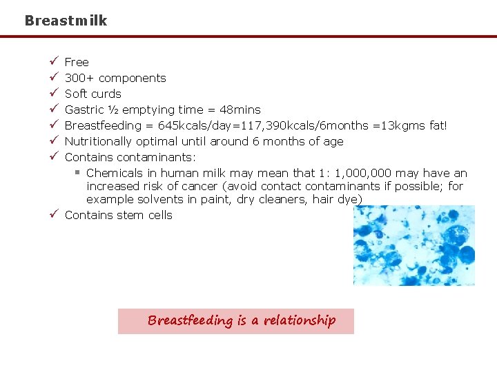 Breastmilk ü ü ü ü Free 300+ components Soft curds Gastric ½ emptying time Breastmilk ü ü ü ü Free 300+ components Soft curds Gastric ½ emptying time