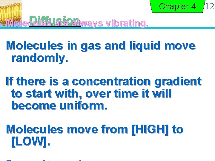 Chapter 4 Diffusion Molecules are always vibrating. Molecules in gas and liquid move randomly.