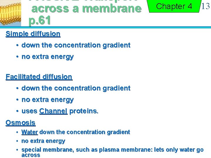 PASSIVE Transport across a membrane p. 61 Chapter 4 13 Simple diffusion • down
