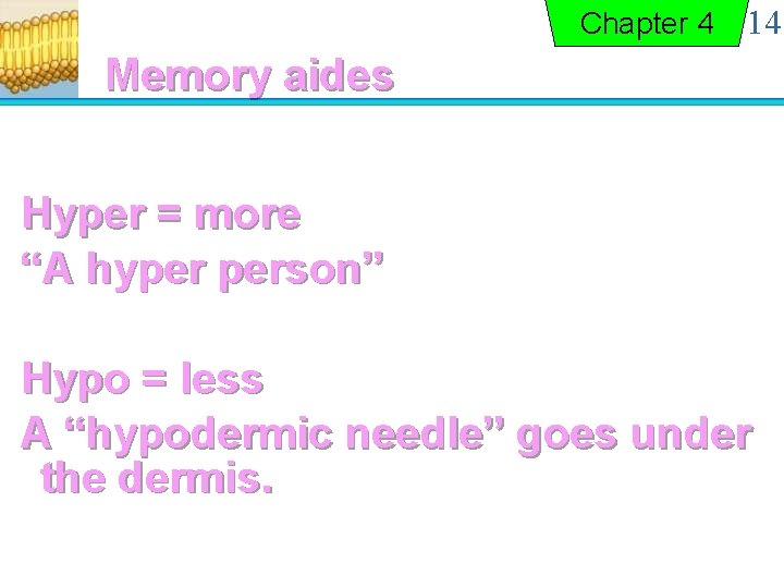 Chapter 4 14 Memory aides Hyper = more “A hyper person” Hypo = less