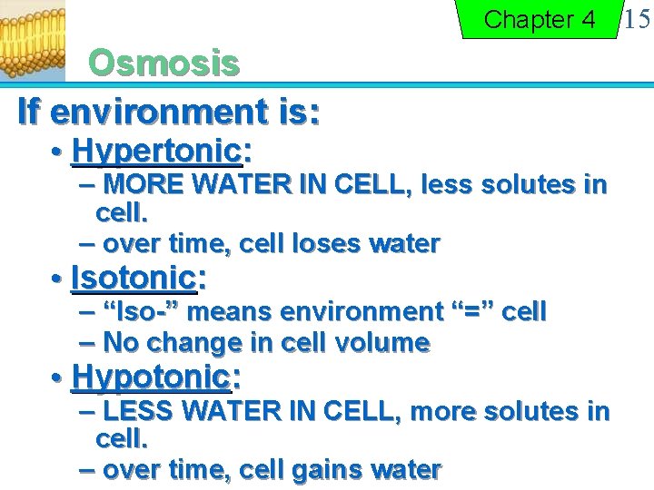 Chapter 4 Osmosis If environment is: • Hypertonic: – MORE WATER IN CELL, less