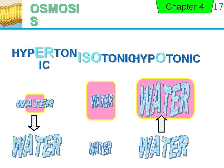 OSMOSI S Chapter 4 HYPERTON ISOTONICHYPOTONIC IC 17 