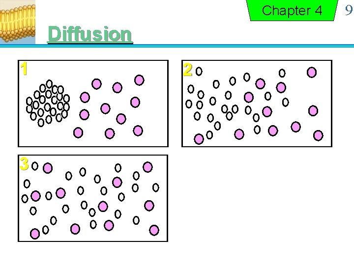 Chapter 4 Diffusion 1 3 2 9 