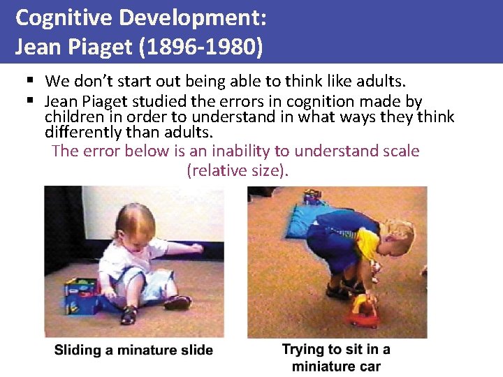 Cognitive Development: Jean Piaget (1896 -1980) § We don’t start out being able to