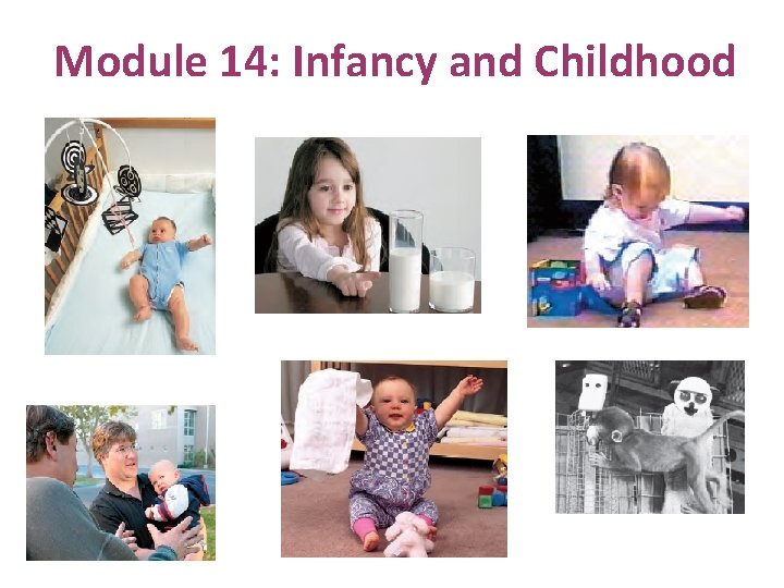 Module 14: Infancy and Childhood 