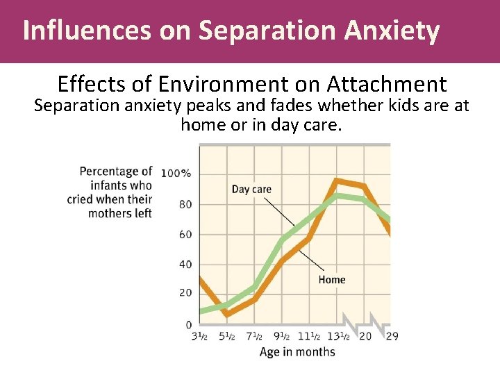 Influences on Separation Anxiety Effects of Environment on Attachment Separation anxiety peaks and fades