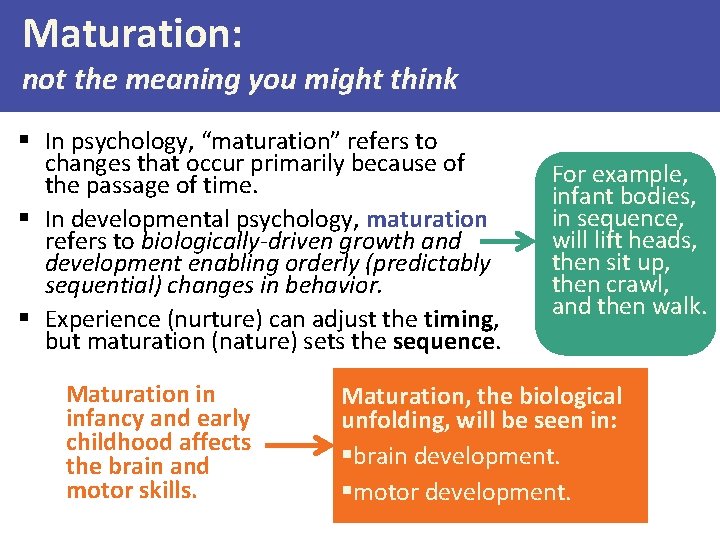 Maturation: not the meaning you might think § In psychology, “maturation” refers to changes