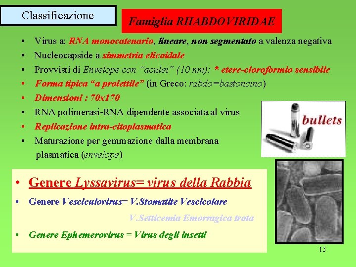 Classificazione • • Famiglia RHABDOVIRIDAE Virus a: RNA monocatenario, lineare, non segmentato a valenza