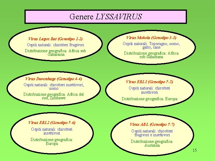 Genere LYSSAVIRUS Virus Lagos Bat (Genotipo 2 -2) Ospiti naturali: chirotteri frugivori Distribuzione geografica: