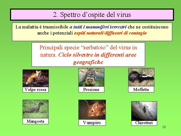 2. Spettro d’ospite del virus La malattia è trasmissibile a tutti i mammiferi terrestri