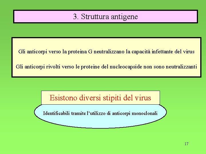 3. Struttura antigene Gli anticorpi verso la proteina G neutralizzano la capacità infettante del