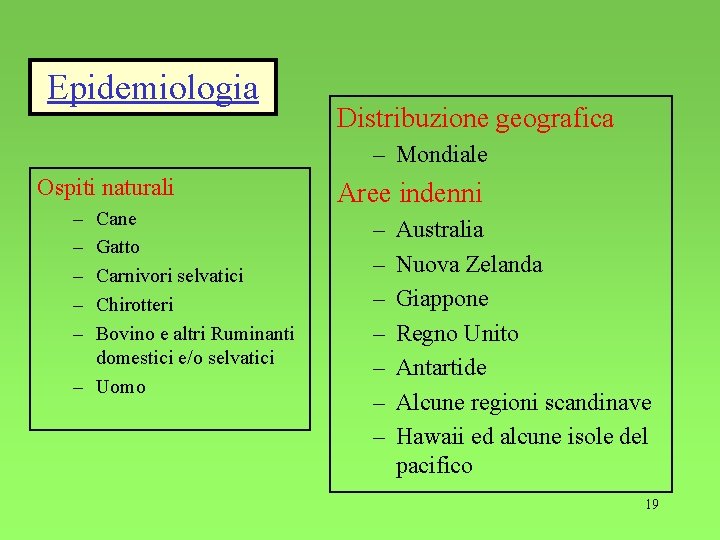 Epidemiologia Distribuzione geografica – Mondiale Ospiti naturali – – – Cane Gatto Carnivori selvatici