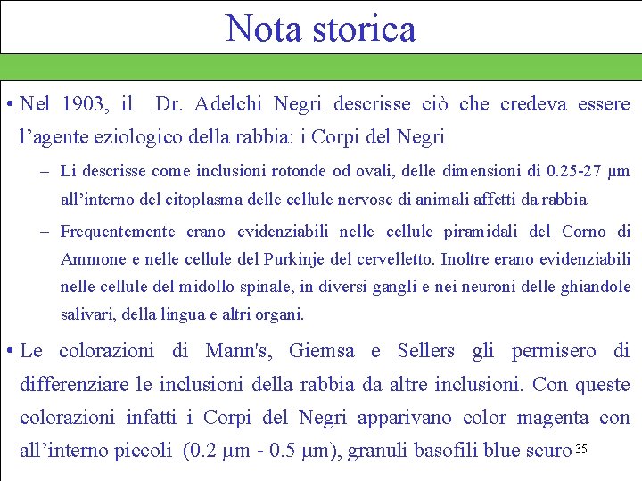Nota storica • Nel 1903, il Dr. Adelchi Negri descrisse ciò che credeva essere