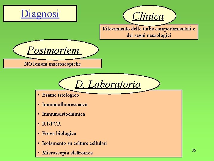 Diagnosi Clinica Rilevamento delle turbe comportamentali e dei segni neurologici Postmortem NO lesioni macroscopiche