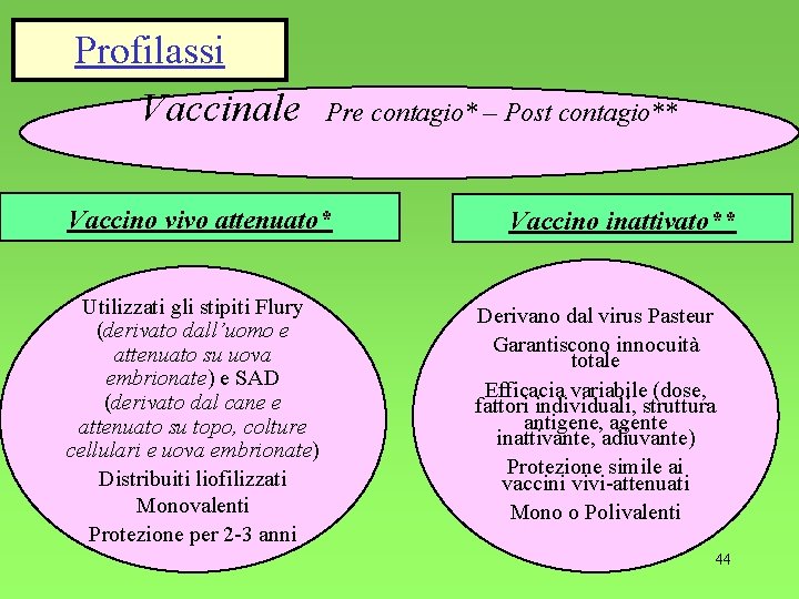 Profilassi Vaccinale Pre contagio* – Post contagio** Vaccino vivo attenuato* Utilizzati gli stipiti Flury