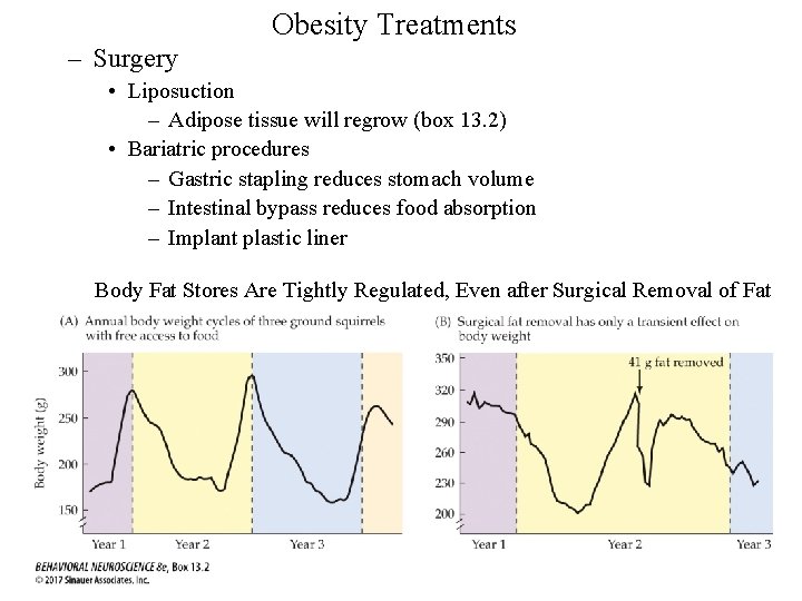 Obesity Treatments – Surgery • Liposuction – Adipose tissue will regrow (box 13. 2)