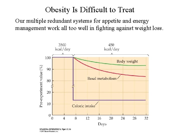 Obesity Is Difficult to Treat Our multiple redundant systems for appetite and energy management