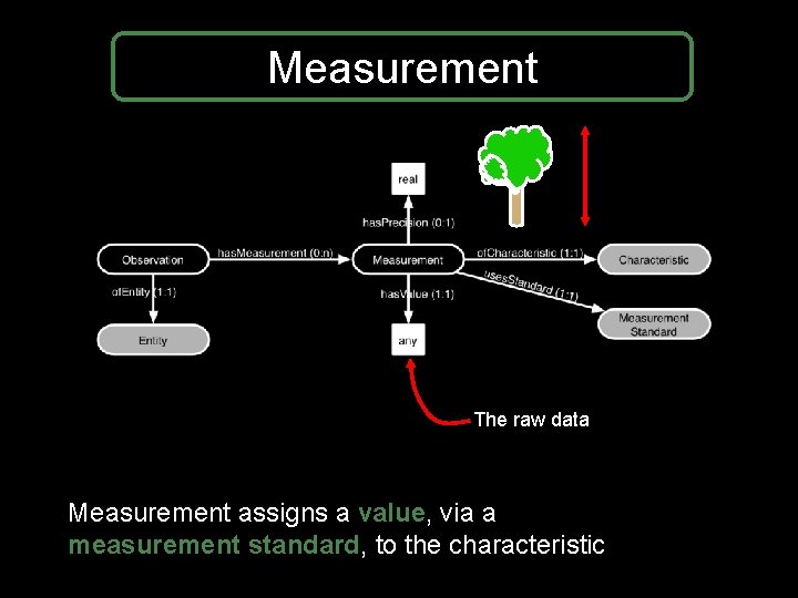 Measurement The raw data Measurement assigns a value, via a measurement standard, to the Measurement The raw data Measurement assigns a value, via a measurement standard, to the