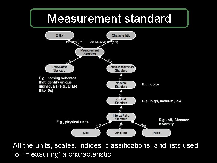 Measurement standard All the units, scales, indices, classifications, and lists used for ‘measuring’ a Measurement standard All the units, scales, indices, classifications, and lists used for ‘measuring’ a