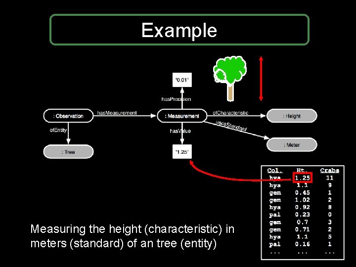 Example Measuring the height (characteristic) in meters (standard) of an tree (entity) Example Measuring the height (characteristic) in meters (standard) of an tree (entity)