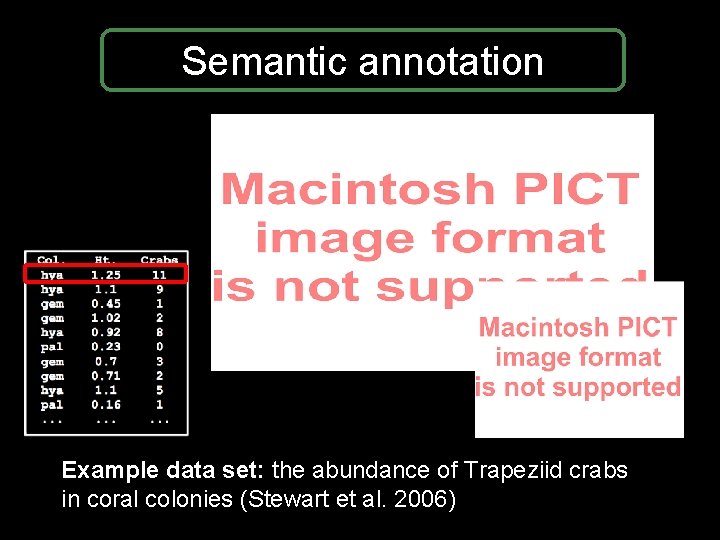 Semantic annotation Example data set: the abundance of Trapeziid crabs in coral colonies (Stewart Semantic annotation Example data set: the abundance of Trapeziid crabs in coral colonies (Stewart