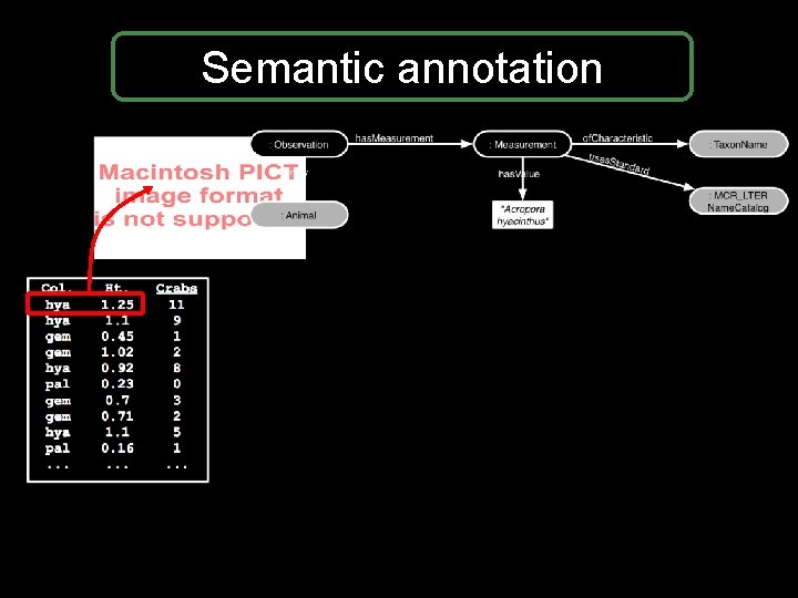 Semantic annotation Semantic annotation