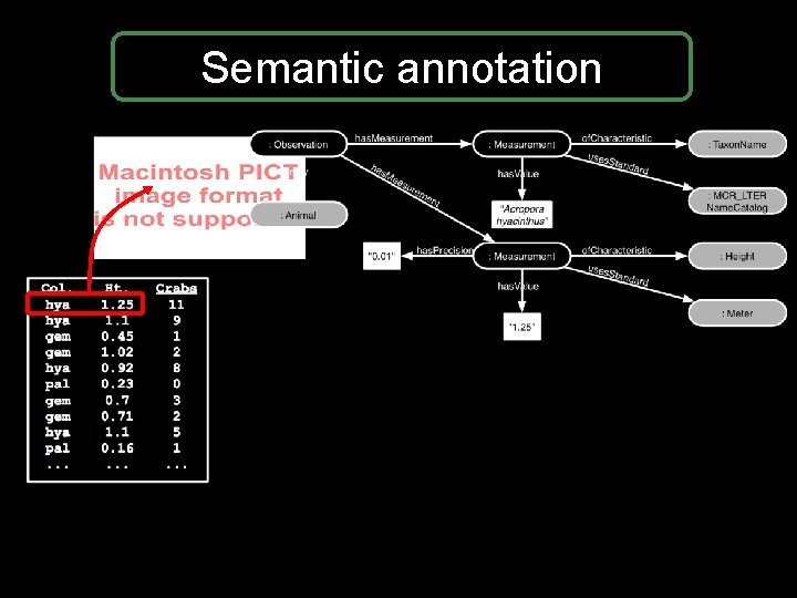 Semantic annotation Semantic annotation