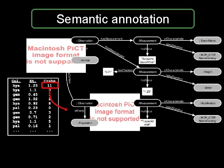 Semantic annotation Semantic annotation