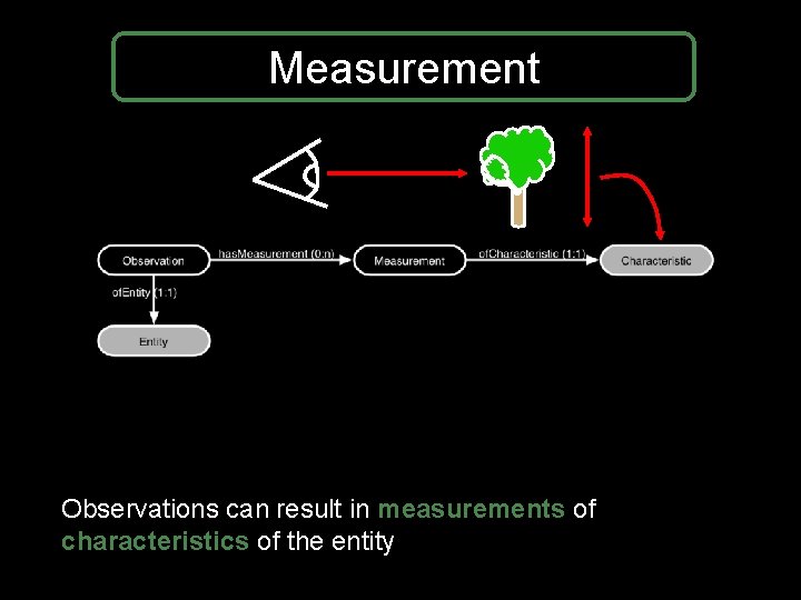 Measurement Observations can result in measurements of characteristics of the entity Measurement Observations can result in measurements of characteristics of the entity