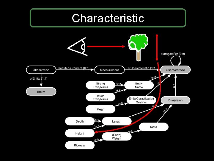 Characteristic Characteristic