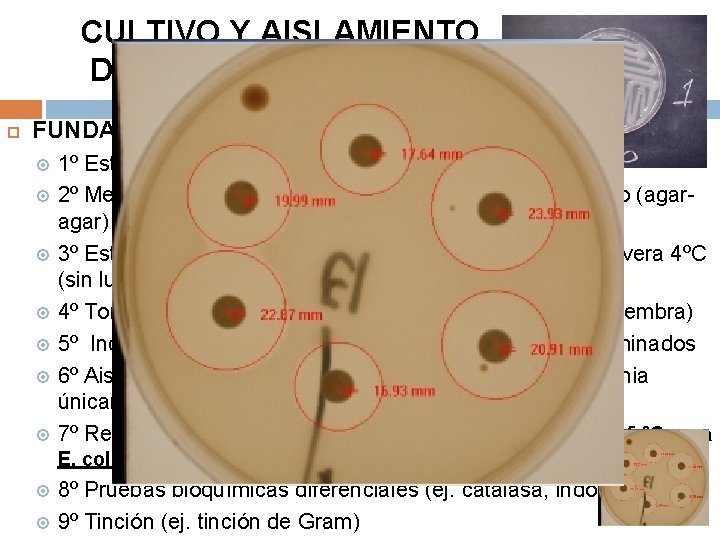 CULTIVO Y AISLAMIENTO DE MICROORGANISMOS FUNDAMENTO Y PROCEDIMIENTOS: 1º Esterilización y técnicas asépticas 2º