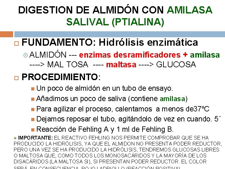 DIGESTION DE ALMIDÓN CON AMILASA SALIVAL (PTIALINA) FUNDAMENTO: Hidrólisis enzimática ALMIDÓN --- enzimas desramificadores