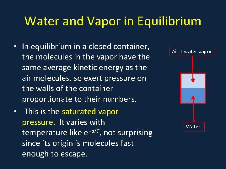Water and Vapor in Equilibrium • In equilibrium in a closed container, the molecules