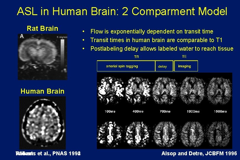 ASL in Human Brain: 2 Comparment Model Rat Brain • Flow is exponentially dependent