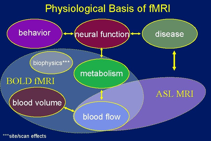 Physiological Basis of f. MRI behavior neural function disease biophysics*** BOLD f. MRI metabolism