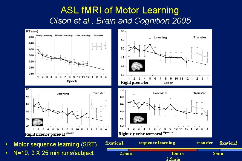 ASL f. MRI of Motor Learning Olson et al. , Brain and Cognition 2005