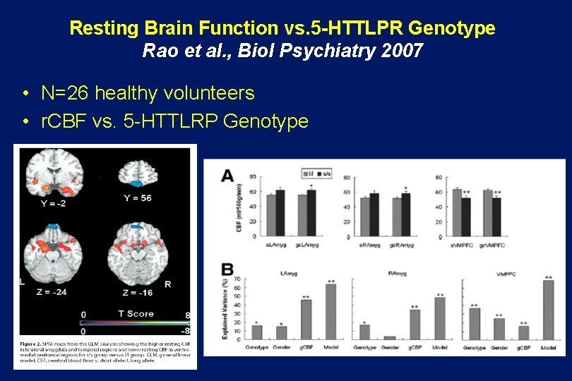 Resting Brain Function vs. 5 -HTTLPR Genotype Rao et al. , Biol Psychiatry 2007