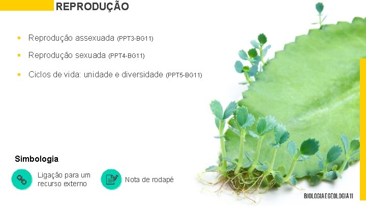 REPRODUÇÃO § Reprodução assexuada (PPT 3 -BG 11) § Reprodução sexuada (PPT 4 -BG