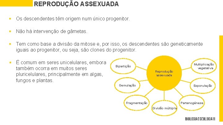 REPRODUÇÃO ASSEXUADA § Os descendentes têm origem num único progenitor. § Não há intervenção