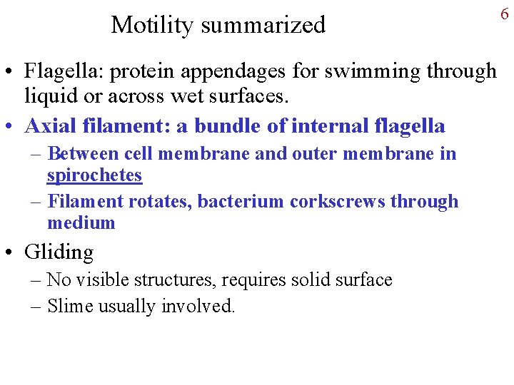 Motility summarized • Flagella: protein appendages for swimming through liquid or across wet surfaces.