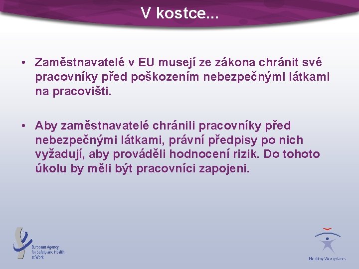 V kostce. . . • Zaměstnavatelé v EU musejí ze zákona chránit své pracovníky