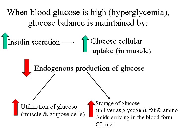 When blood glucose is high (hyperglycemia), glucose balance is maintained by: Insulin secretion Glucose