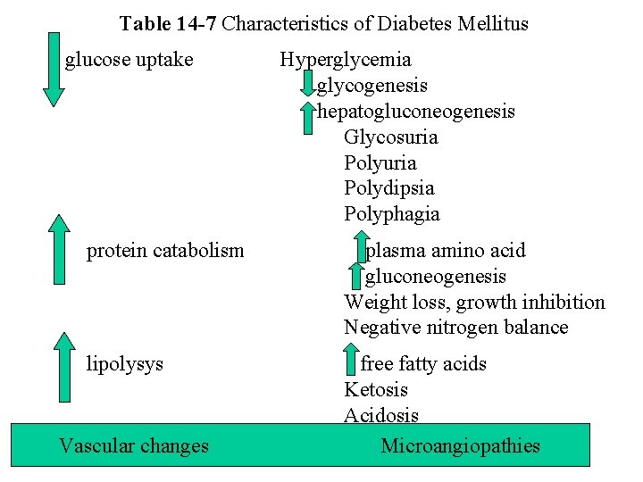 Table 14 -7 Characteristics of Diabetes Mellitus glucose uptake Hyperglycemia glycogenesis hepatogluconeogenesis Glycosuria Polydipsia