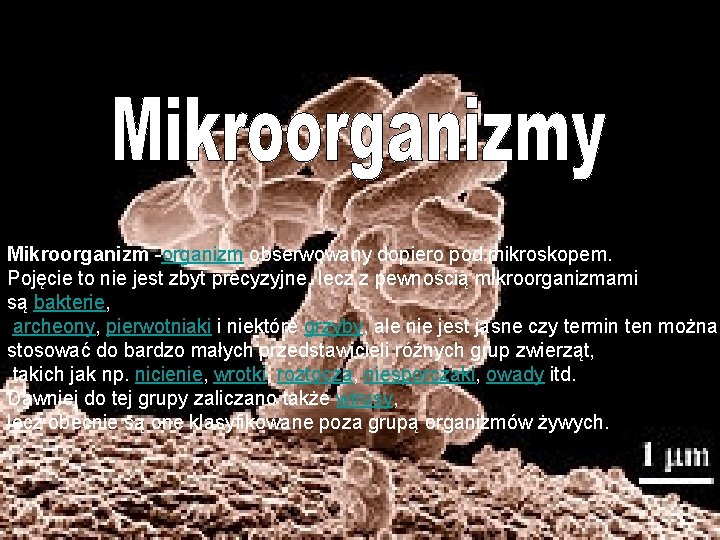 Mikroorganizm -organizm obserwowany dopiero pod mikroskopem. Pojęcie to nie jest zbyt precyzyjne, lecz z