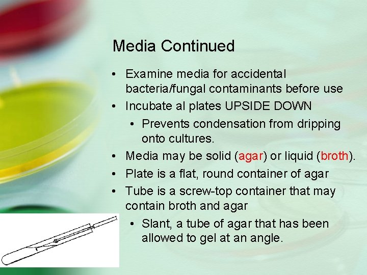 Media Continued • Examine media for accidental bacteria/fungal contaminants before use • Incubate al