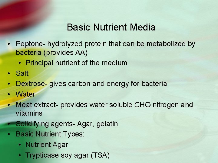 Basic Nutrient Media • Peptone- hydrolyzed protein that can be metabolized by bacteria (provides