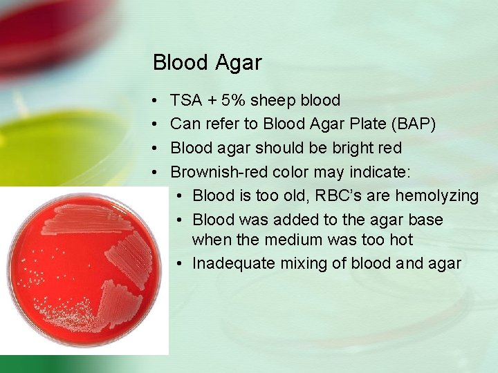 Blood Agar • • TSA + 5% sheep blood Can refer to Blood Agar