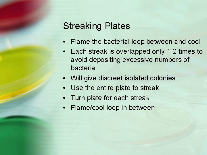 Streaking Plates • Flame the bacterial loop between and cool • Each streak is
