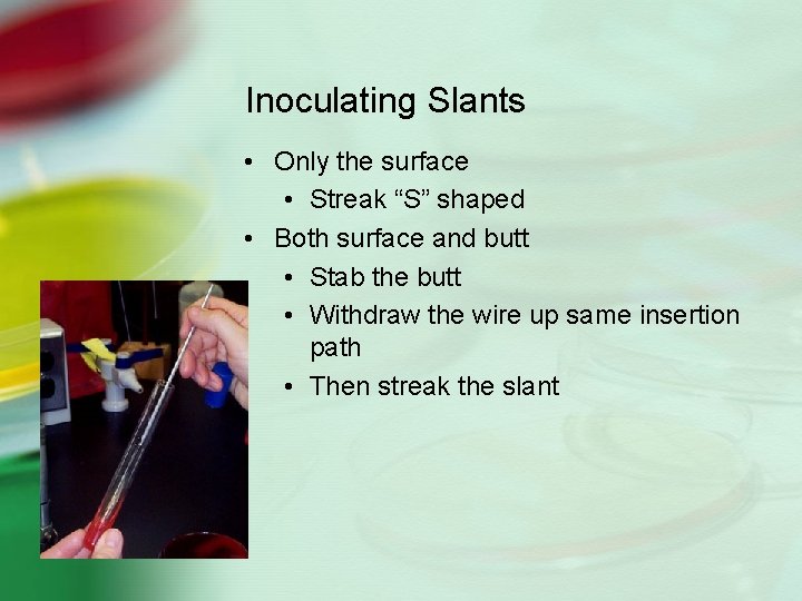 Inoculating Slants • Only the surface • Streak “S” shaped • Both surface and