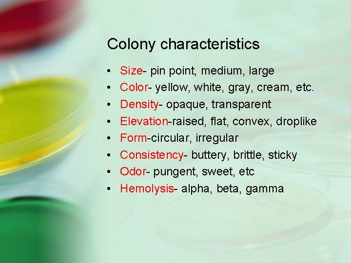 Colony characteristics • • Size- pin point, medium, large Color- yellow, white, gray, cream,